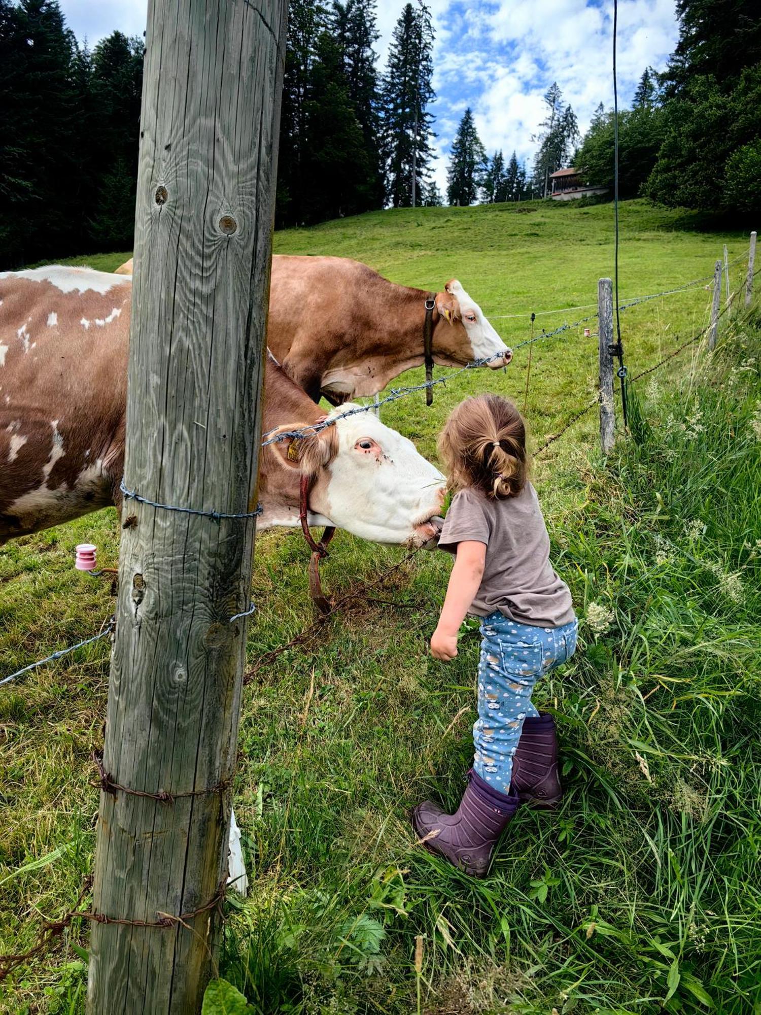 Apartmán Voegelhof Doren Exteriér fotografie