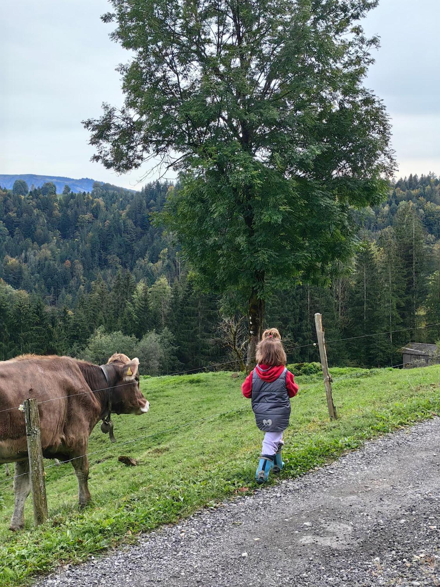 Apartmán Voegelhof Doren Exteriér fotografie