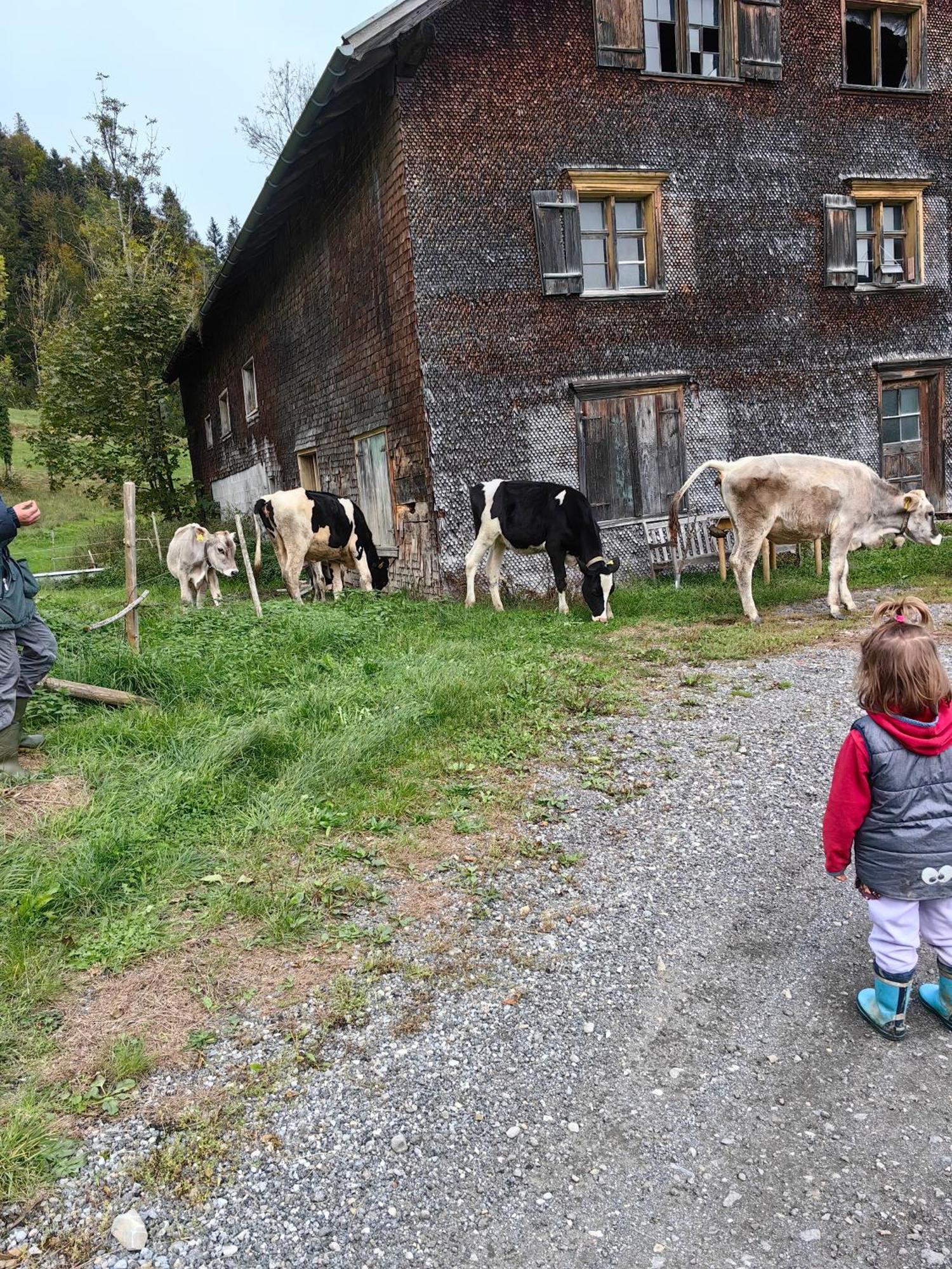 Apartmán Voegelhof Doren Exteriér fotografie