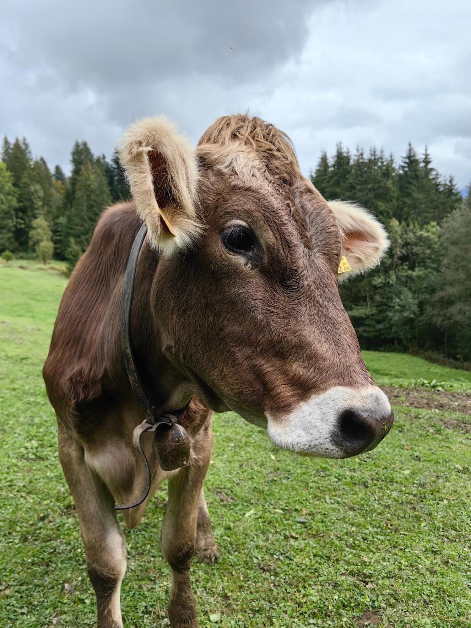 Apartmán Voegelhof Doren Exteriér fotografie